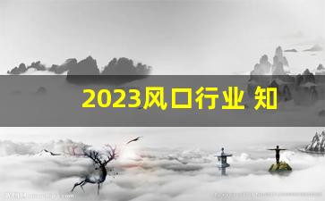 2023风口行业 知乎(2020年的风口行业有哪些)_https://www.kairu168.com_大商所_第1张
